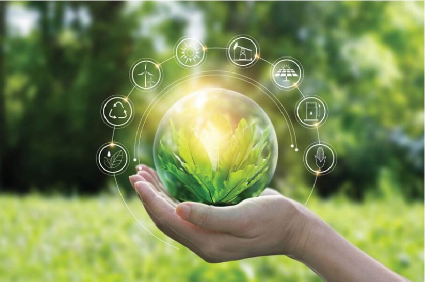 Giải pháp tăng cường thực thi chính sách tiêu dùng xanh nhằm phát triển bền vững ở Việt Nam