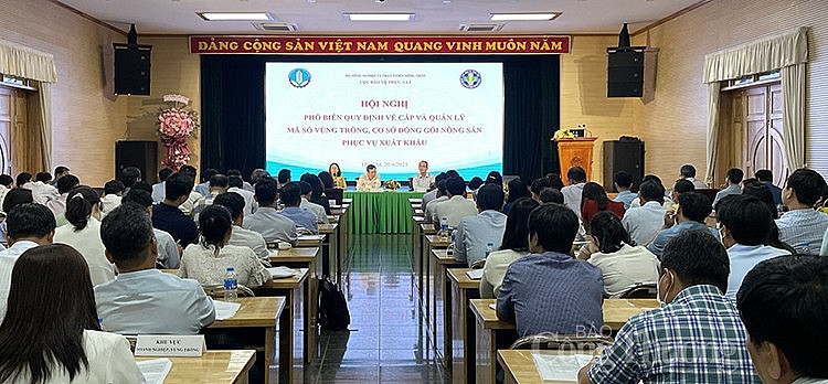 ​Vi phạm mã số vùng trồng, nguy cơ dừng xuất khẩu toàn ngành hàng