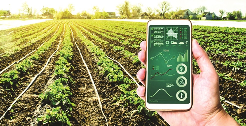 Rủi ro xây dựng thương hiệu sản phẩm của doanh nghiệp nông nghiệp Việt Nam ứng dụng công nghệ cao: Thực trạng và một số khuyến nghị