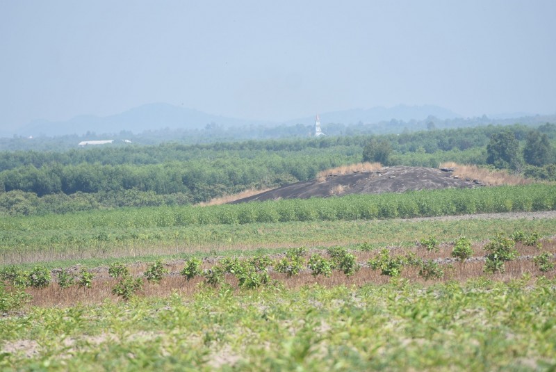 Đồng Nai: Hàng loạt sai phạm về quản lý đất đai tại Công ty mía đường La Ngà