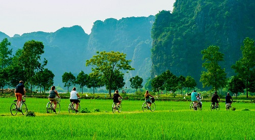 Phát triển du lịch xanh ở Việt Nam: Thực trạng và giải pháp phát triển bền vững