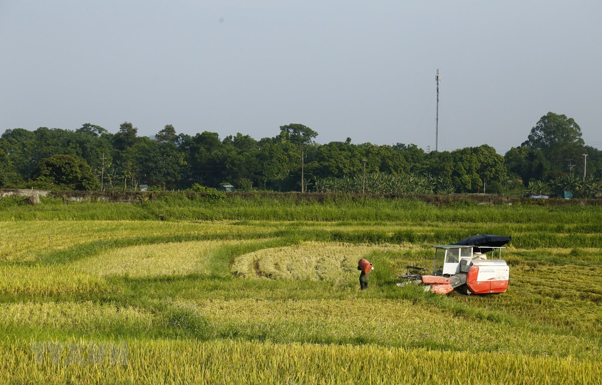 Thực trạng và tiềm năng phát triển ngành cơ khí nông nghiệp Việt Nam