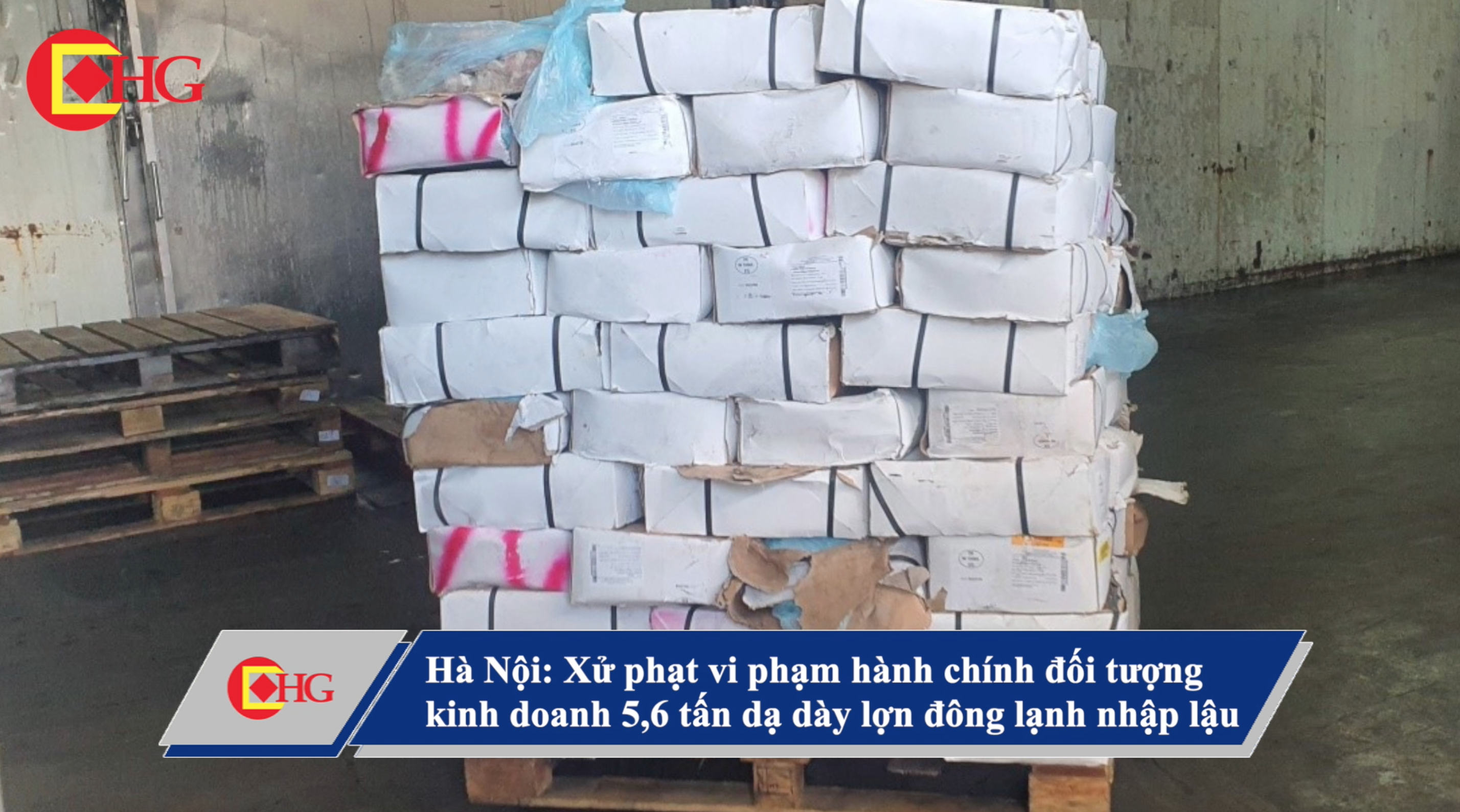 Hà Nội: Xử phạt vi phạm hành chính đối tượng kinh doanh 5,6 tấn dạ dày lợn đông lạnh nhập lậu