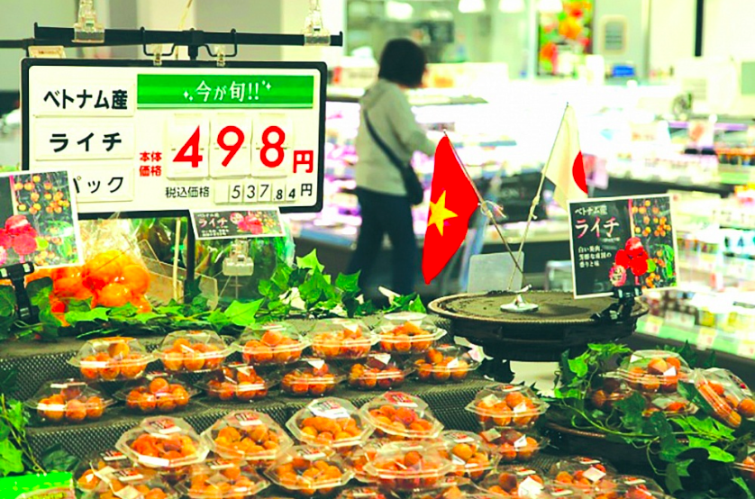 Đưa hàng Việt “phủ sóng” siêu thị Nhật Bản