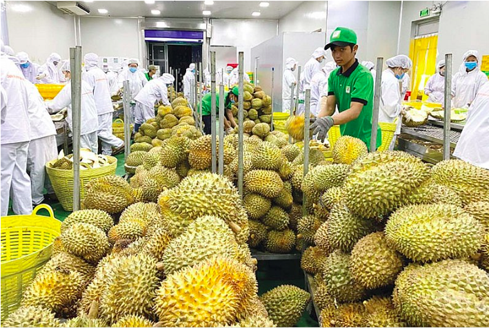 Điểm tên 3 thị trường mua nông lâm thủy sản nhiều nhất của Việt Nam