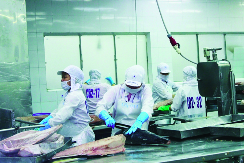 Tiềm năng xuất khẩu cá ngừ sang Ba Lan