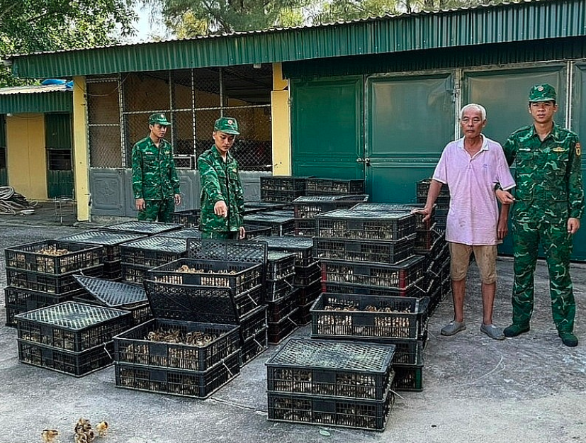 Quảng Ninh: Ngăn chặn từ sớm, từ xa buôn lậu tháng cuối năm