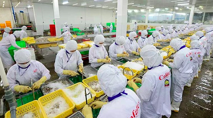 Tháng 10/2023, Việt Nam là thị trường duy nhất có lượng và trị giá xuất khẩu thủy sản sang Hàn Quốc tăng