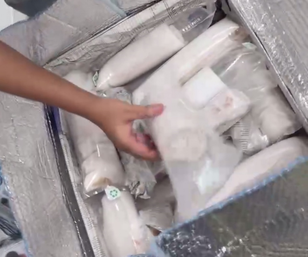 Đà Nẵng: Bắt giữ 02 kiện hành lý cất giấu lượng lớn tôm hùm giống sống