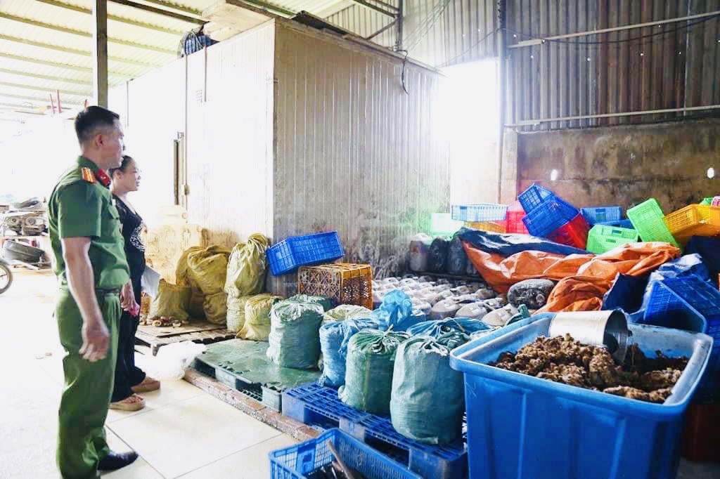 Đồng Nai: phát hiện vụ vận chuyển heo chết và buôn bán phụ phẩm động vật bốc mùi hôi thối